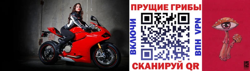 Галлюциногенные грибы мицелий blacksprut рабочий сайт Мурманск