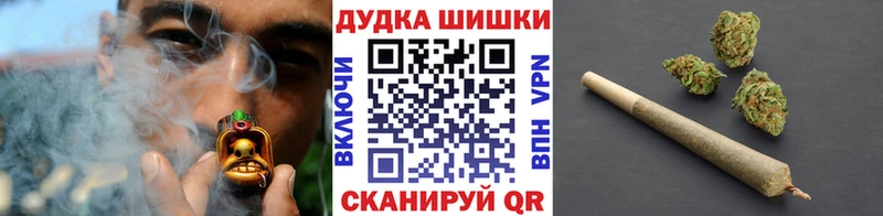 Бошки Шишки планчик  Мурманск 