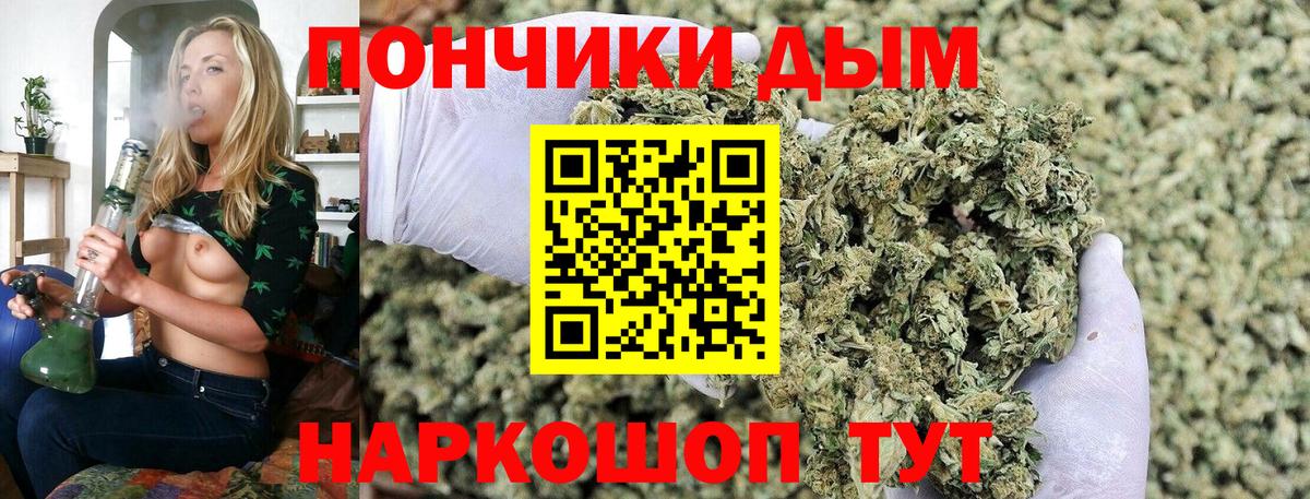 Бошки марихуана сатива  Шишки марихуана White Widow  Вход с VPN  Канабис конопля  Бошки марихуана сатива  Мурманск 